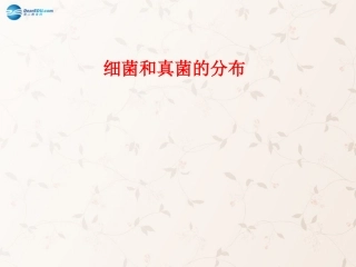 八年级生物上册 5.4.1 细菌和真菌的分布课件3 （新版）新人教版