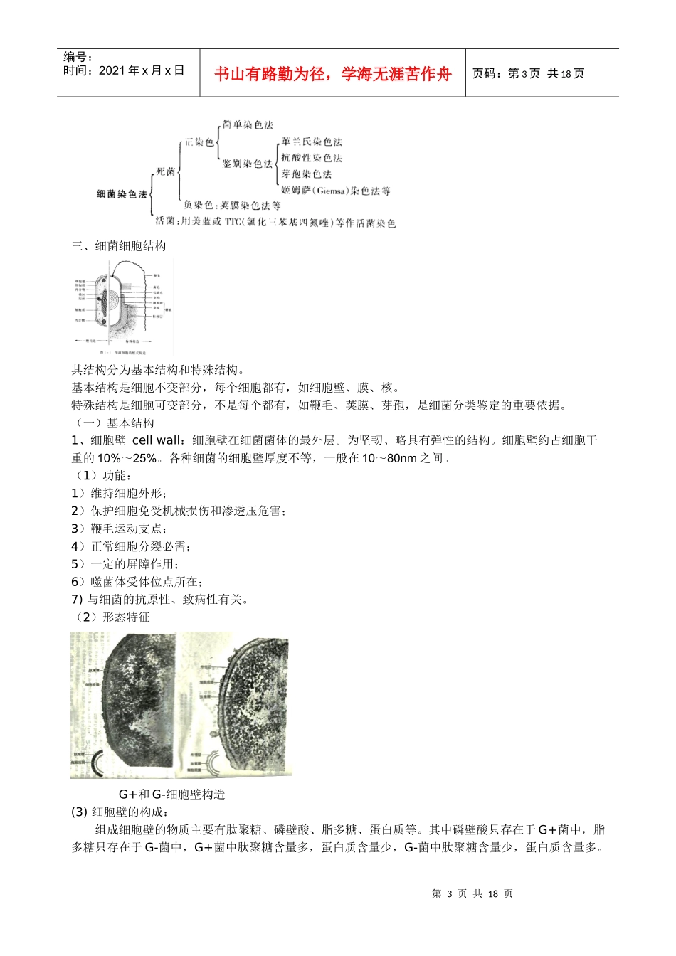 一章：微生物类群与形态结构_第3页