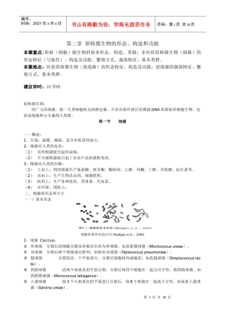一章：微生物类群与形态结构