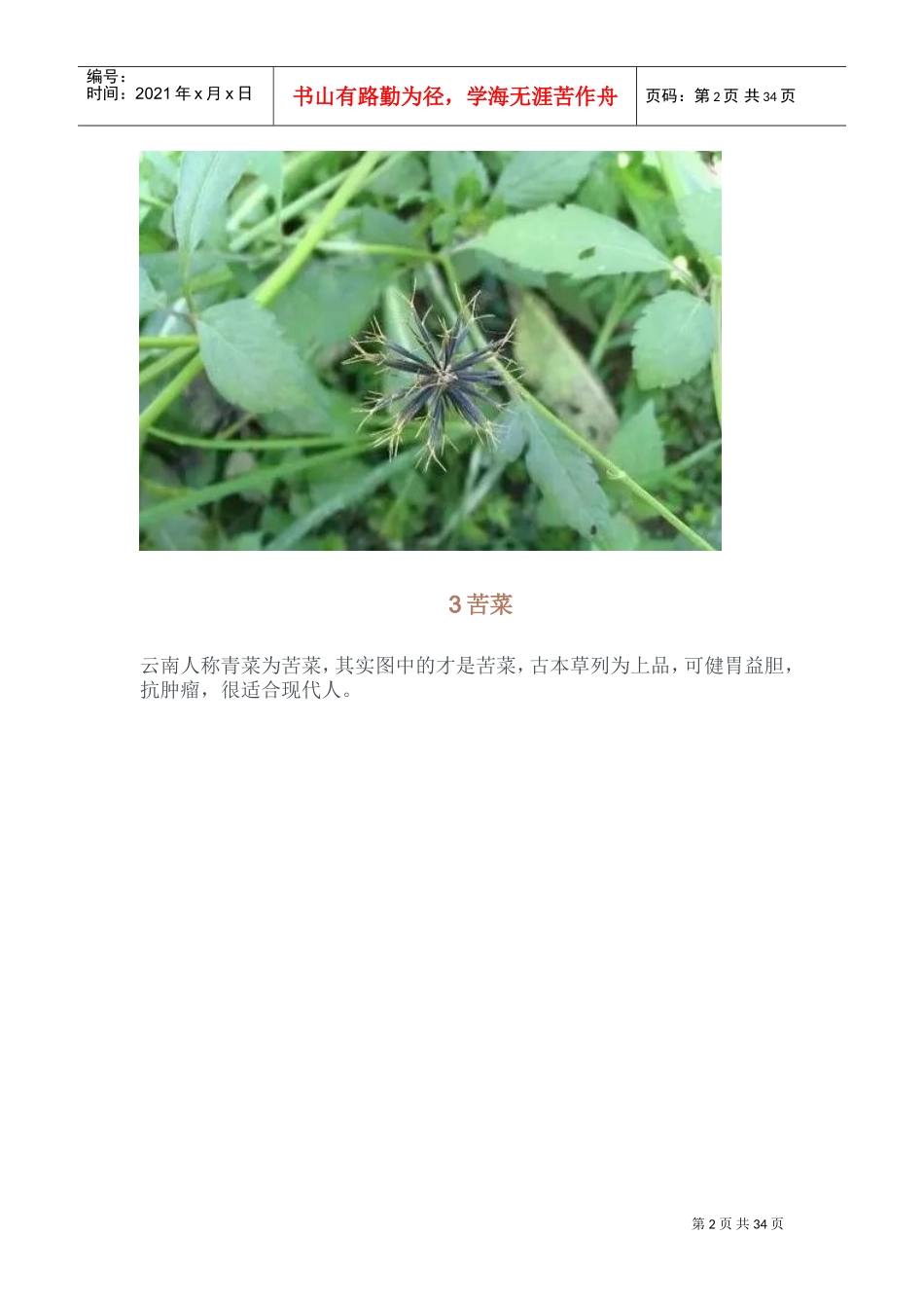 42种常见中草药(DOC34页)_第2页