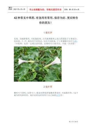 42种常见中草药(DOC34页)