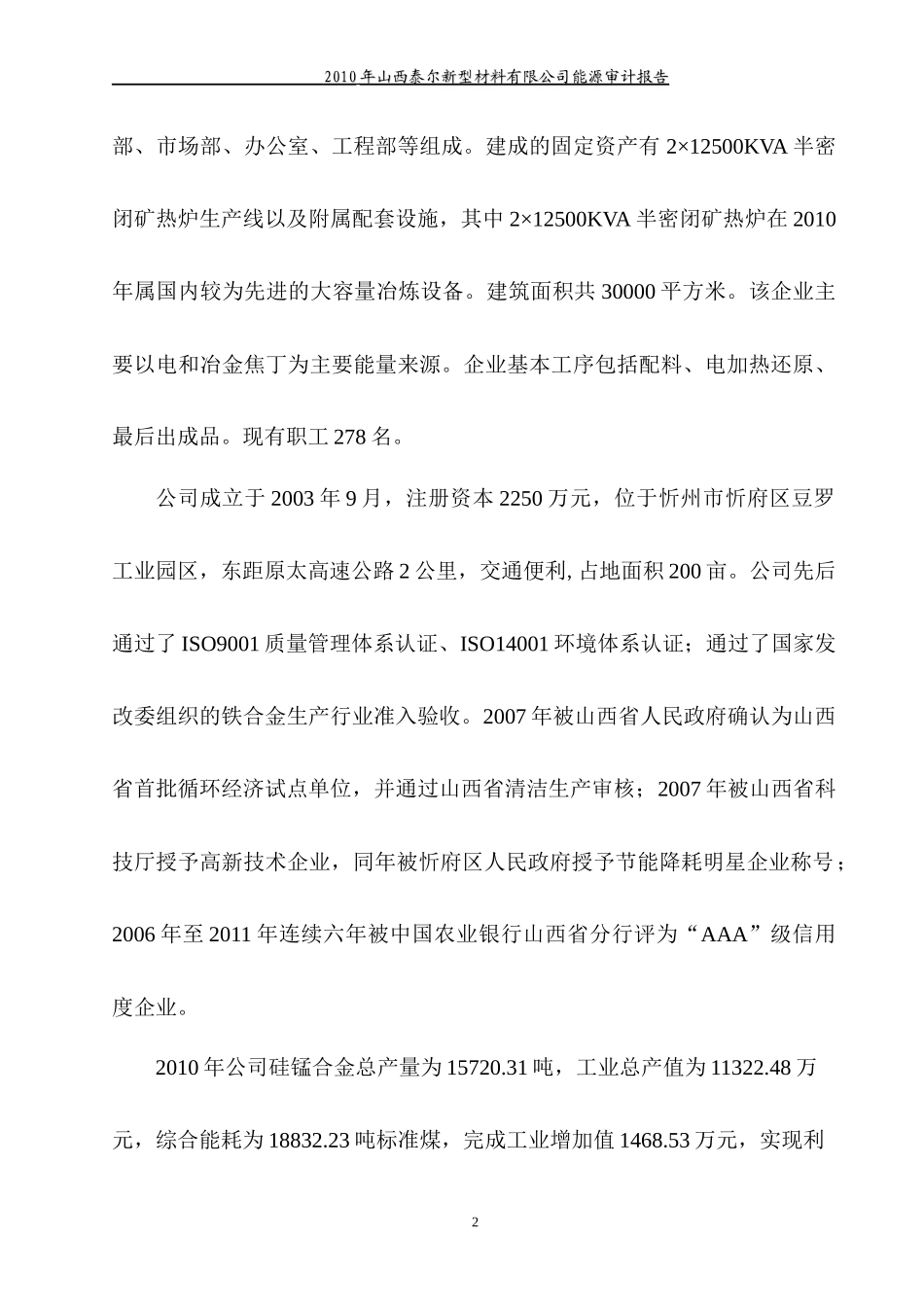 NYQ山西泰尔能源审计(终稿)_第3页