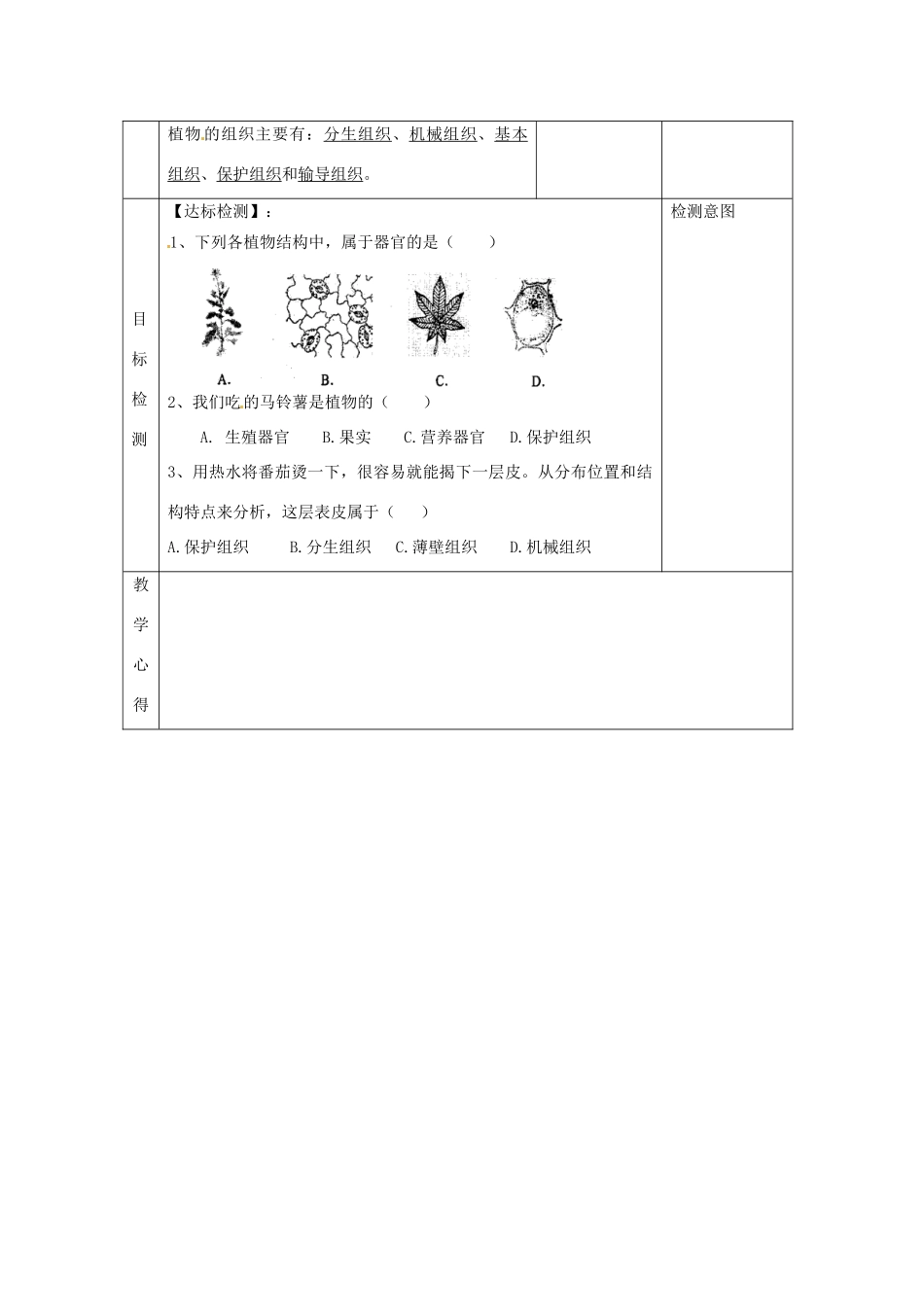 江苏省连云港东海县平明镇中学七年级生物下册 9.1 植物体的组成教案1 苏科版_第2页
