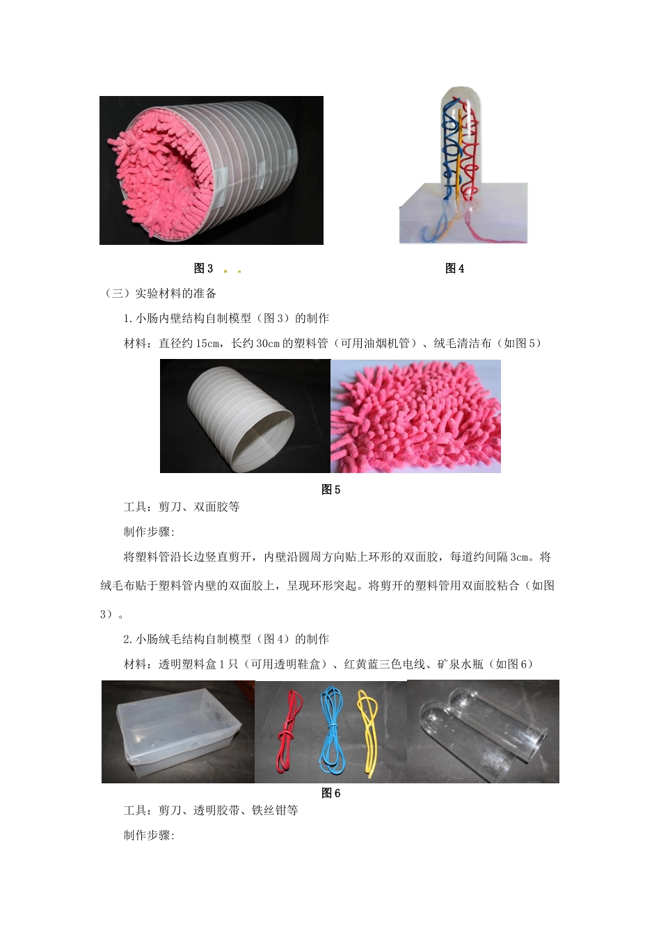 江西省信丰县黄泥中学中考生物实验汇总复习 小肠结构的观察教学设计_第2页
