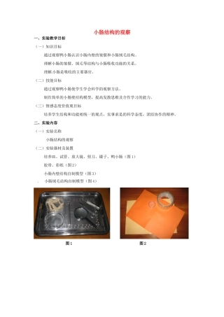 江西省信丰县黄泥中学中考生物实验汇总复习 小肠结构的观察教学设计