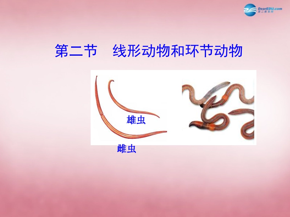 八年级生物上册 5.1.2 线形动物和环节动物课件 （新版）新人教版_第1页
