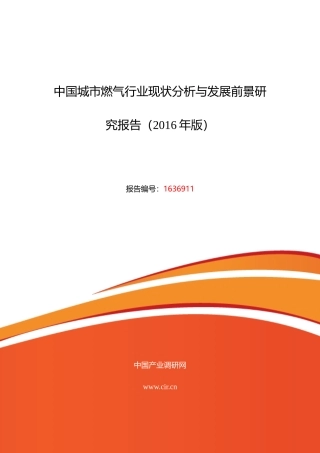 XXXX年城市燃气调研及发展前景分析