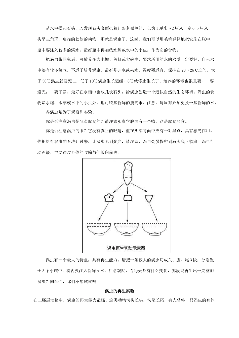 八年级生物新人教版涡虫_第2页