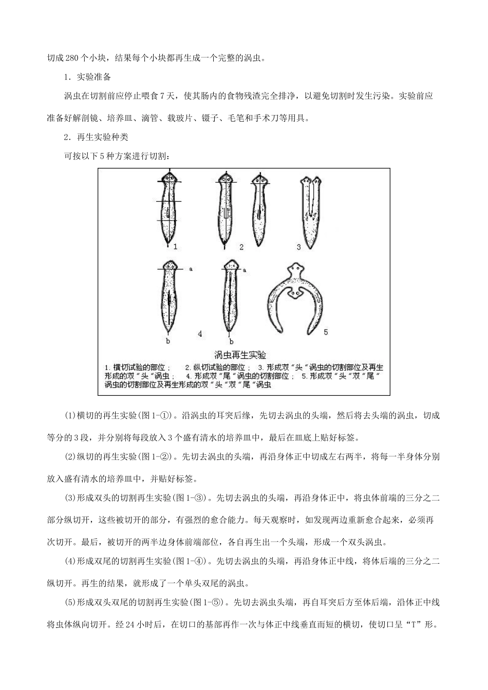 八年级生物新人教版涡虫_第3页
