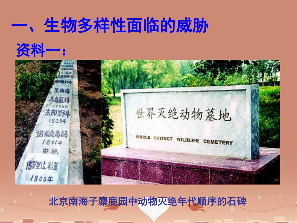 江苏省南京市长城中学八年级生物上册 15.2 保护生物多样性的艰巨使命课件 （新版）湘教版_第2页