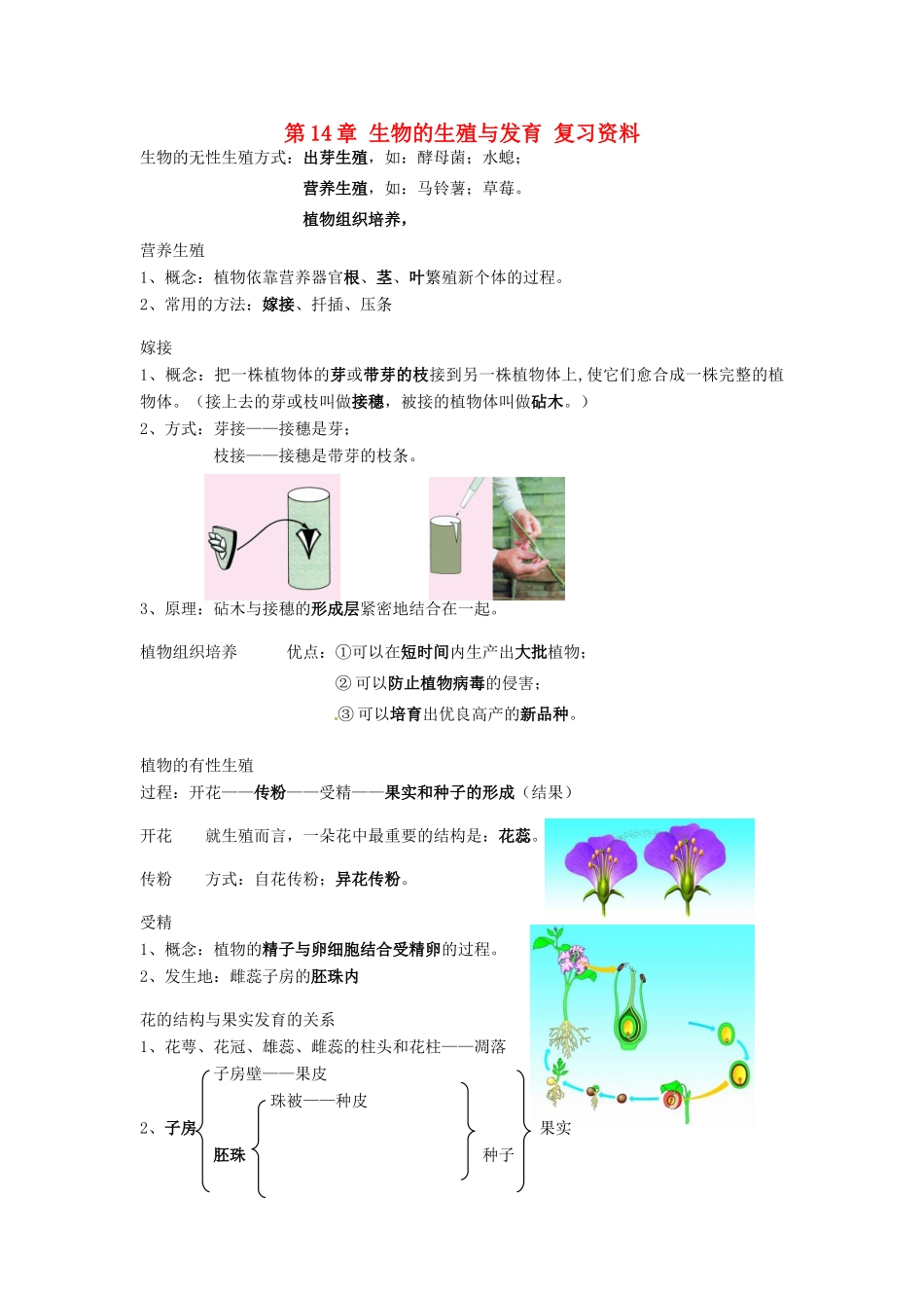 江苏省南京三中（六中校区）八年级生物 第14章《生物的生殖与发育》单元复习教案 人教新课标版_第1页
