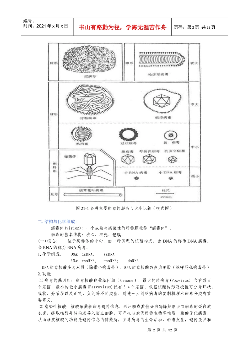 医学病毒学解析_第2页