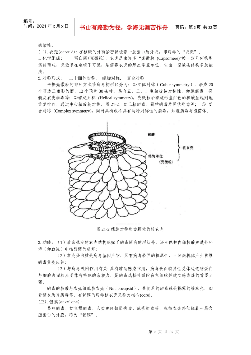 医学病毒学解析_第3页