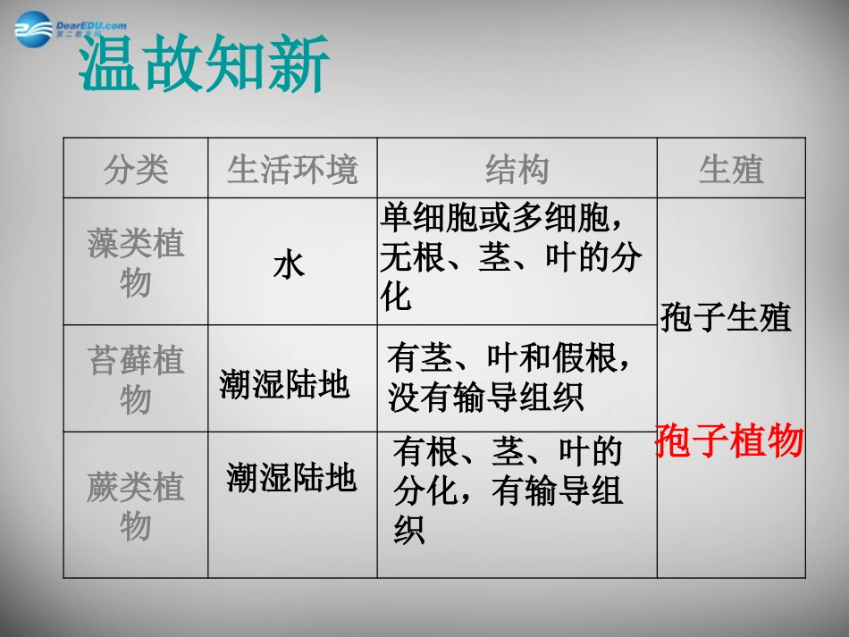 安徽省长丰县下塘实验中学七年级生物上册《3.1.2 种子植物》课件 （新版）新人教版_第1页