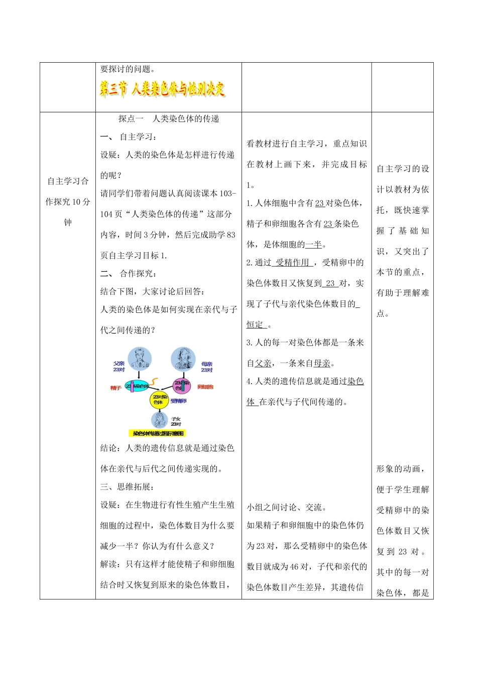 八年级生物上册 4.4.3《人类染色体与性别决定》教案2 （新版）济南版-（新版）济南版初中八年级上册生物教案_第3页