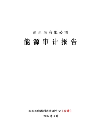 【DOC】有限公司能源审计报告