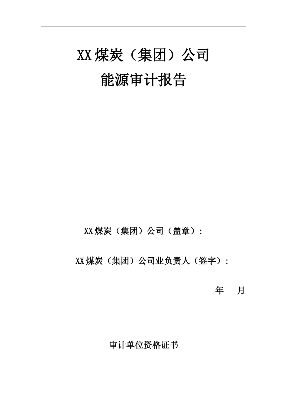 XX(集团)公司(煤炭)能源审计报告_第2页