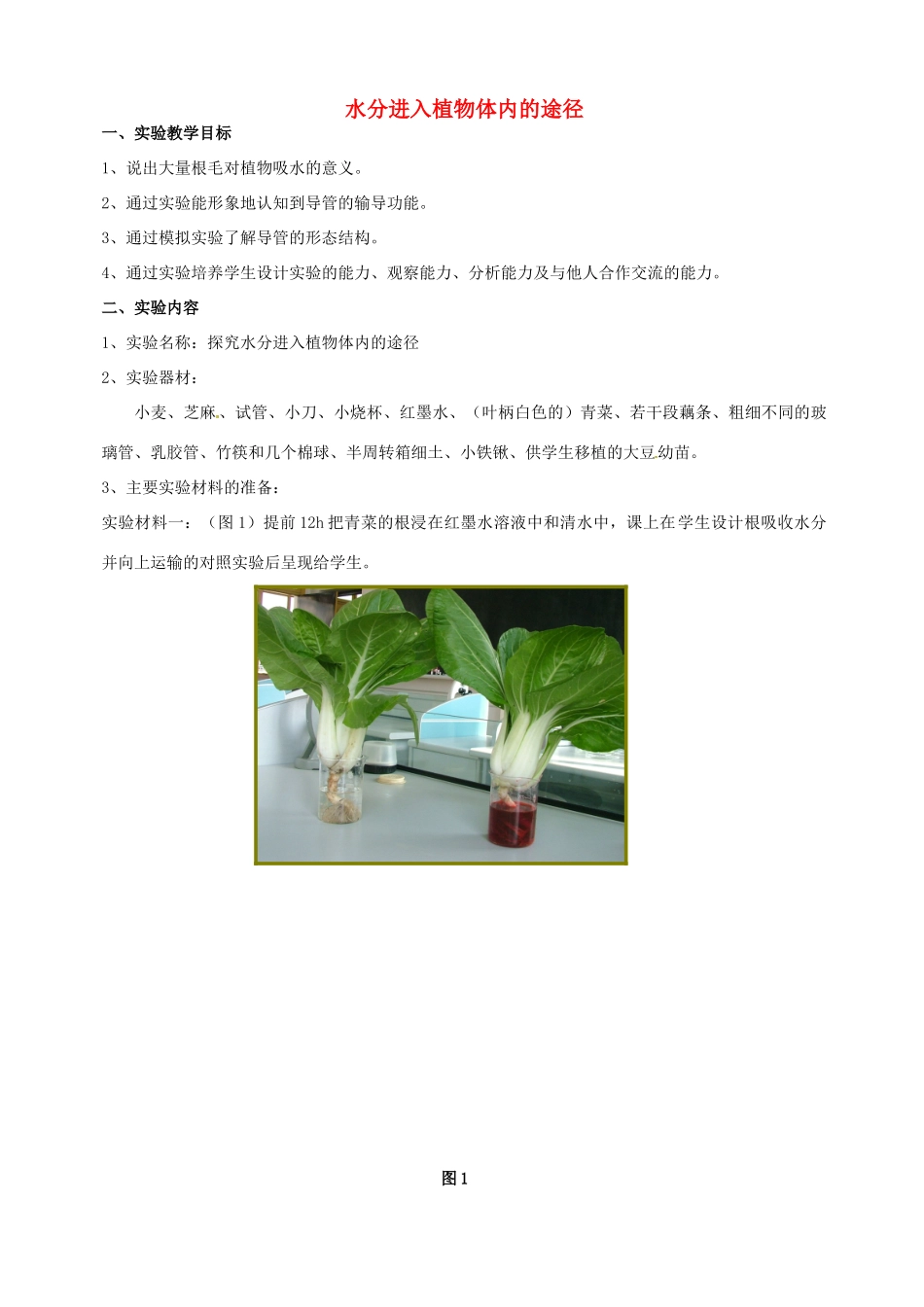 江西省信丰县黄泥中学中考生物实验汇总复习 水分进入植物体内的途径教学设计_第1页