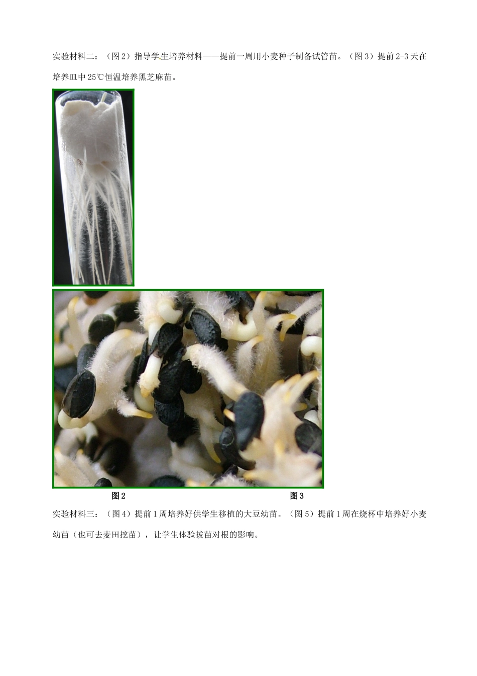 江西省信丰县黄泥中学中考生物实验汇总复习 水分进入植物体内的途径教学设计_第2页