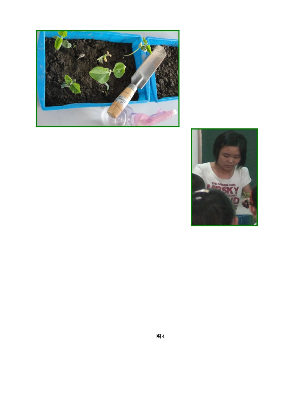 江西省信丰县黄泥中学中考生物实验汇总复习 水分进入植物体内的途径教学设计_第3页