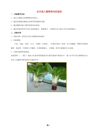江西省信丰县黄泥中学中考生物实验汇总复习 水分进入植物体内的途径教学设计
