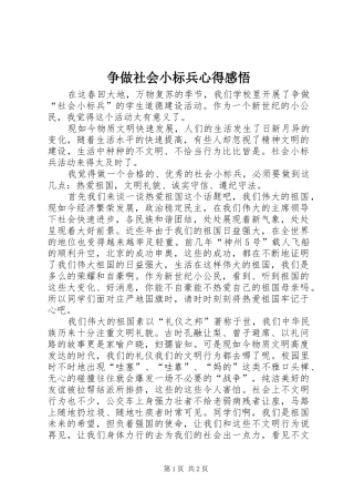 争做社会小标兵心得感悟