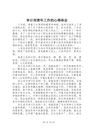 审计局青年工作的心得体会