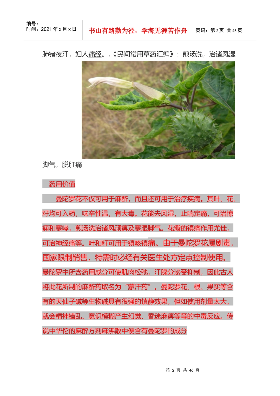 42种生长在农村的中草药_第2页