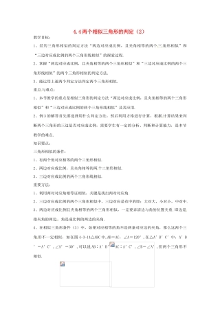 九年级数学上册 4.4 两个相似三角形的判定教案（2）（新版）浙教版