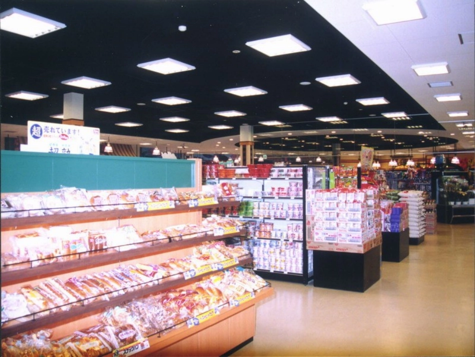 八年级生物尝试对生物分类新人教版_第3页