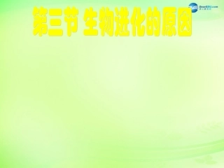 八年级生物下册 5.1.4 生物进化的原因课件 济南版