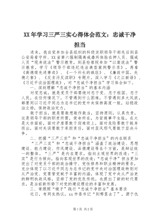 XX年学习三严三实心得体会范文：忠诚干净担当