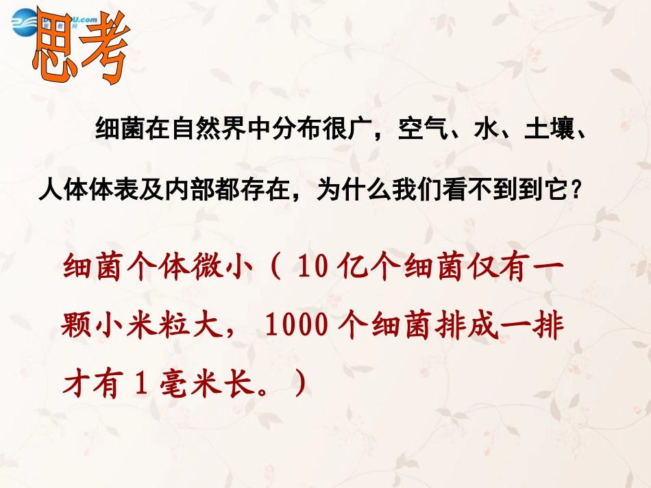八年级生物上册 5.4.2 细菌课件2 （新版）新人教版_第3页