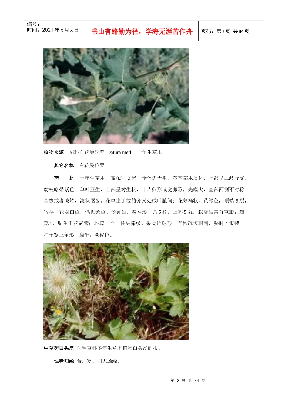 100种中草药彩色图谱_第3页