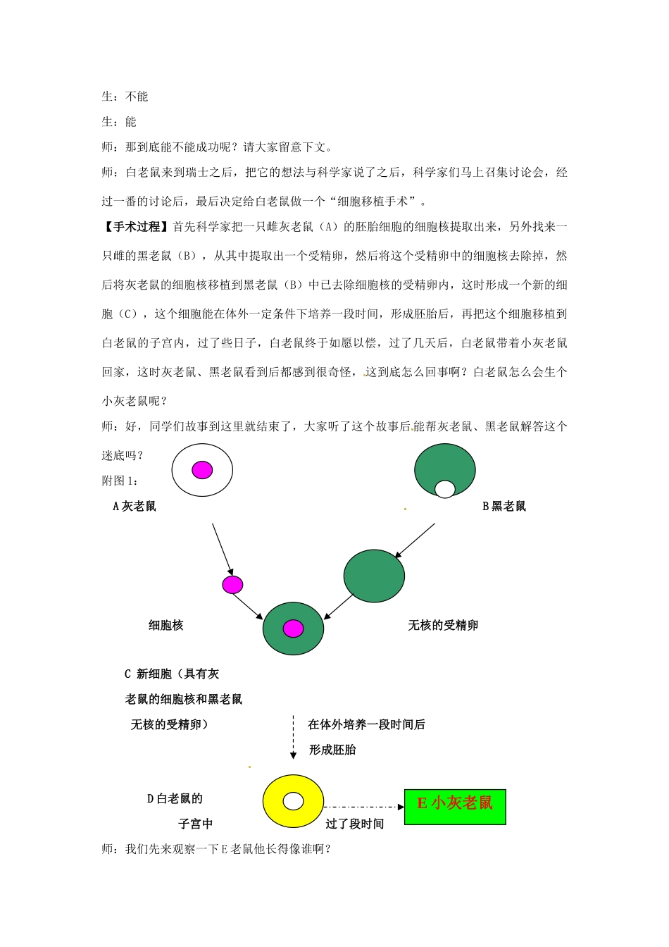 八年级生物上册 第15章第1节 DNA是主要的遗传物质精品教案 苏科版_第3页