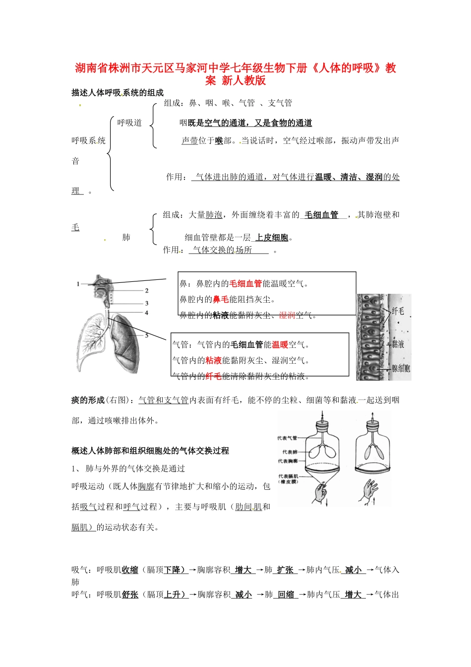 湖南省株洲市天元区马家河中学七年级生物下册《人体的呼吸》教案 新人教版_第1页