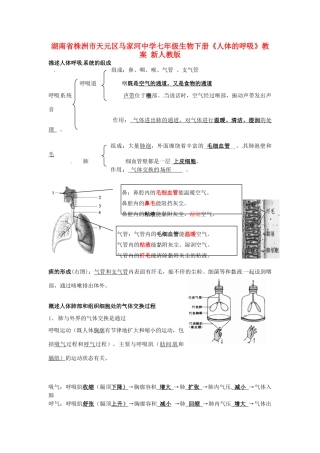 湖南省株洲市天元区马家河中学七年级生物下册《人体的呼吸》教案 新人教版