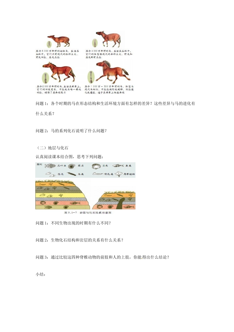 八年级生物下册 5.1.2生物进化的证据教学设计 （新版）济南版-（新版）济南版初中八年级下册生物教案_第3页