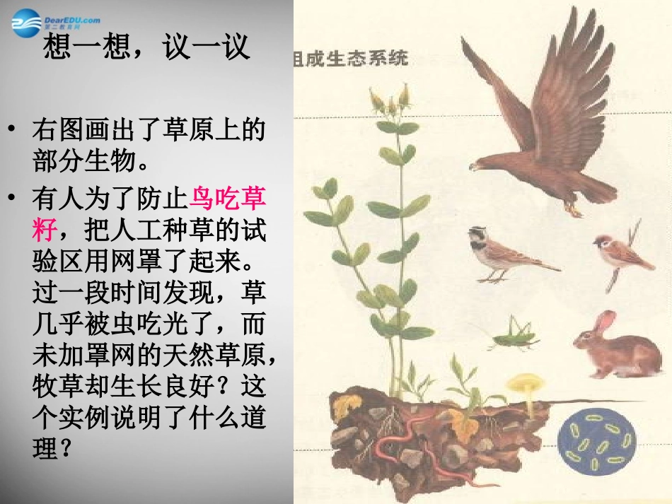 安徽省长丰县下塘实验中学七年级生物上册《1.2.2 生物与环境组成生态系统》课件 （新版）新人教版_第2页