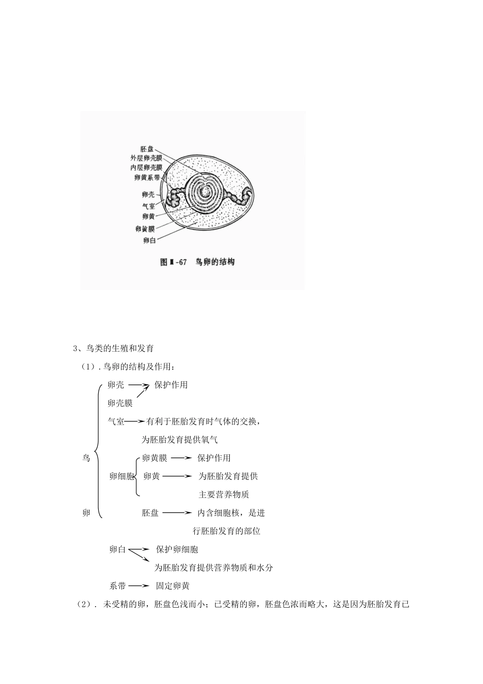 八年级生物上册 18 人的生殖和发育章节综合复习 教案 苏科版_第3页