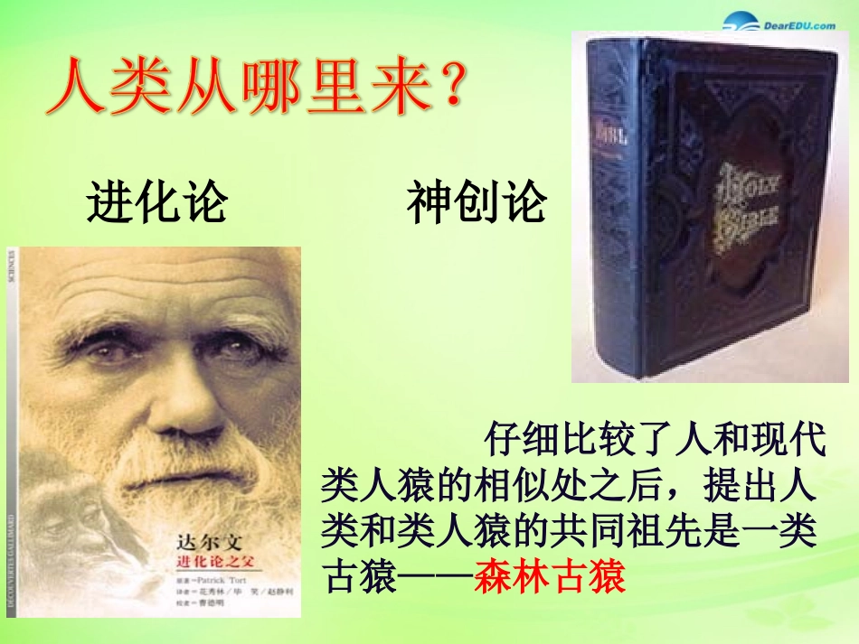 江苏省昆山市锦溪中学八年级生物下册 22.4 人类的起源和进化课件 苏科版_第2页
