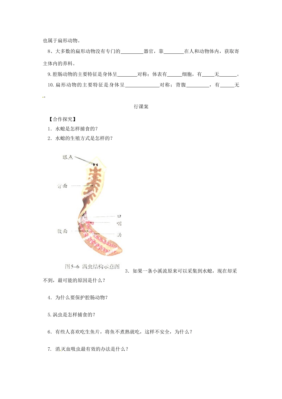 八年级生物上册 5.1.1 腔肠动物和扁形动物导学案（无答案）（新版）新人教版_第2页