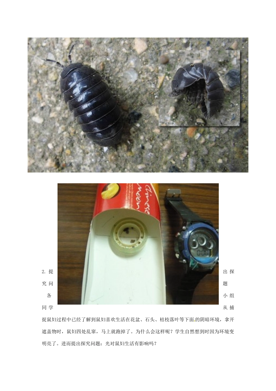江西省信丰县黄泥中学中考生物实验汇总复习 光对鼠妇生活的影响教学设计_第2页