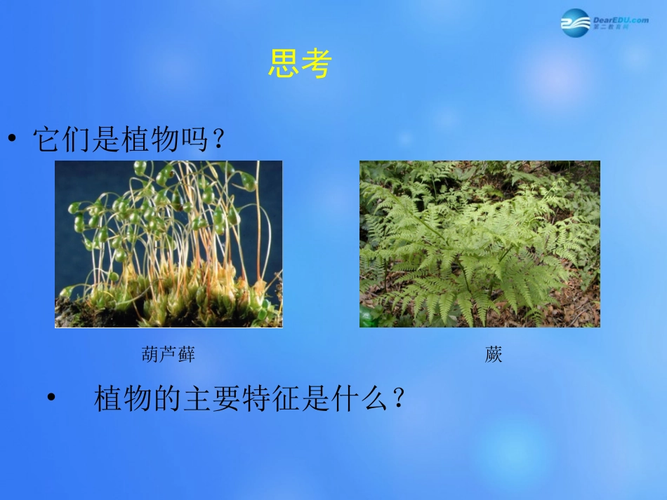 八年级生物下册 第22章 第三节 植物的主要类群课件1 （新版）北师大版_第3页