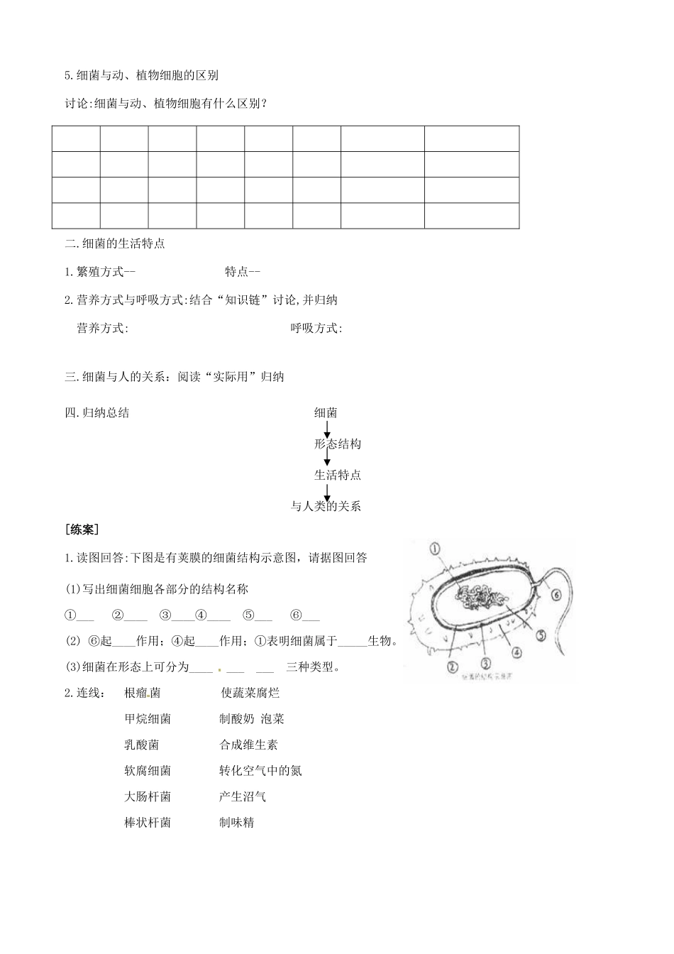 河北省唐山十六中八年级生物 细菌教案 人教新课标版_第2页