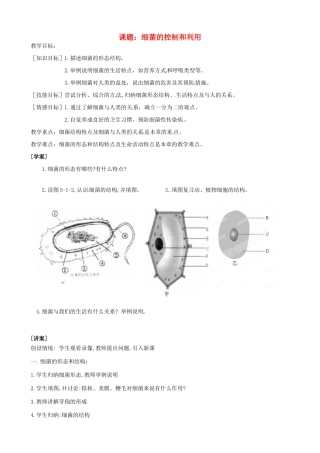 河北省唐山十六中八年级生物 细菌教案 人教新课标版