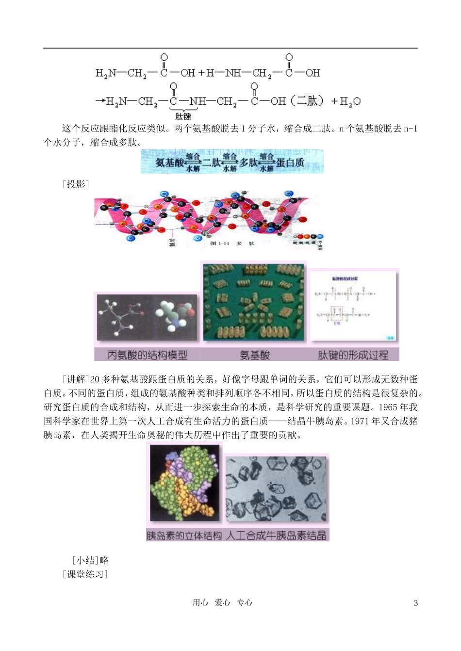 高中化学 第一章第三节 生命的基础—蛋白质教案（2） 新人教版选修1_第3页