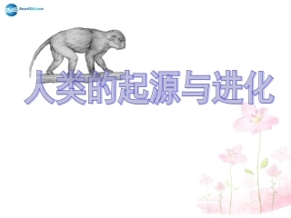八年级生物下册 第21章 第三节 人类的起源与进化课件4 （新版）北师大版