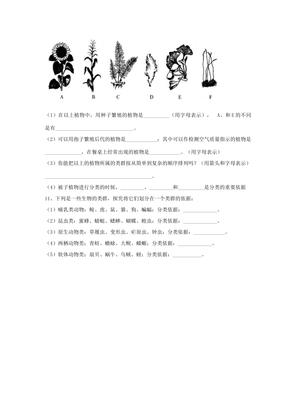 八年级生物上册 6.1.1 尝试对生物进行分类练习题2（无答案）（新版）新人教版_第3页