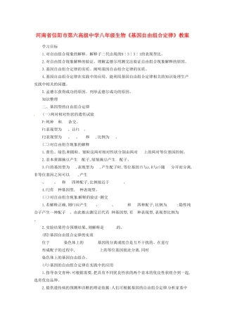 河南省信阳市第六高级中学八年级生物《基因自由组合定律》教案